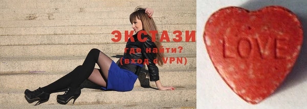 индика Новодвинск