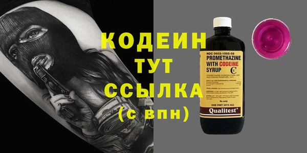 индика Новодвинск