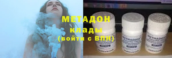 индика Новодвинск