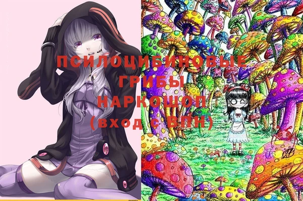 метадон Новозыбков