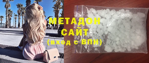индика Новодвинск