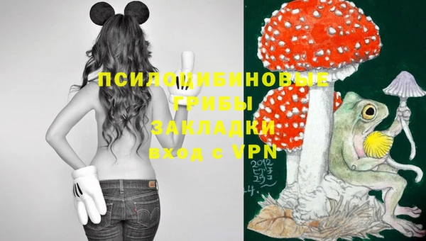 СК Нягань