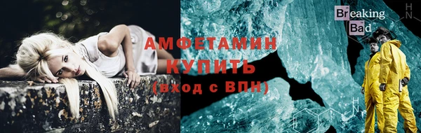 индика Новодвинск