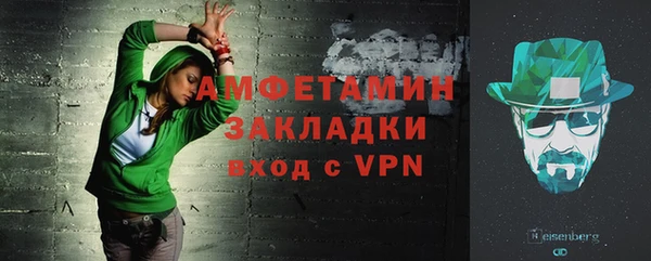индика Новодвинск