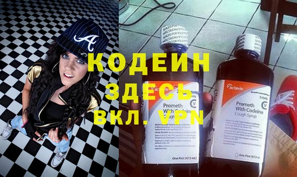 индика Новодвинск
