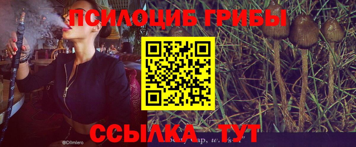 Псилоцибиновые грибы MAGIC MUSHROOMS Старая Купавна