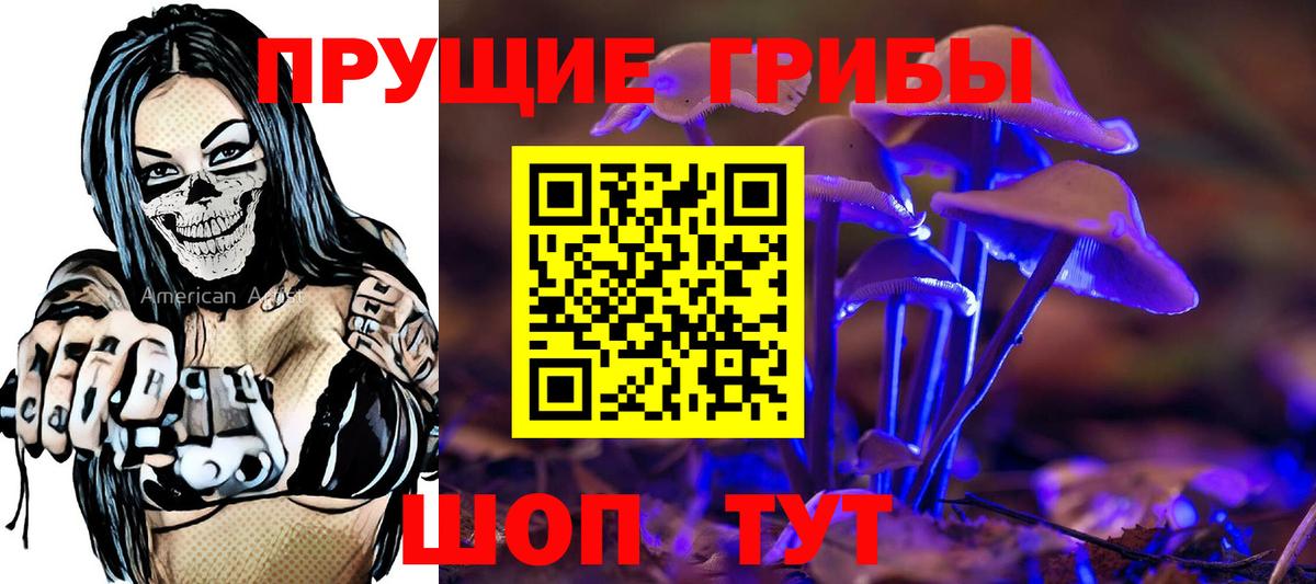 Старая Купавна  Псилоцибиновые грибы GOLDEN TEACHER  Вход с VPN 